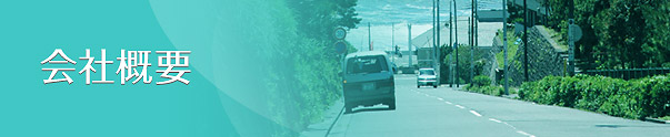 ЊTv