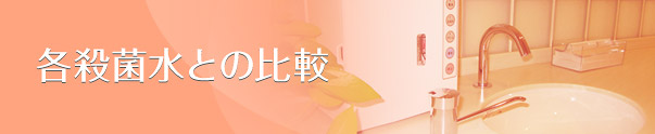 eEېƂ̔r